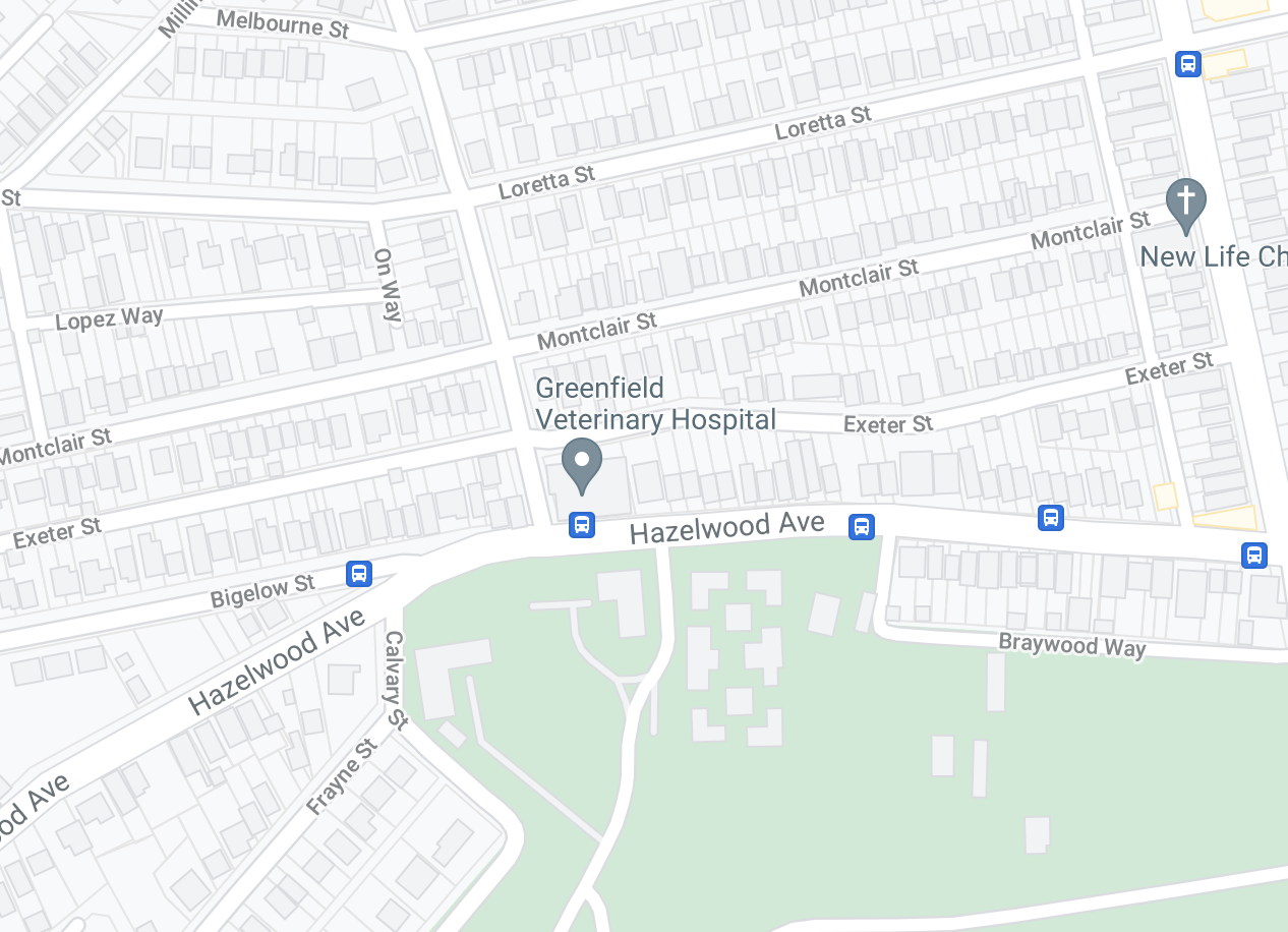 Location Greenfield Veterinary Hospital